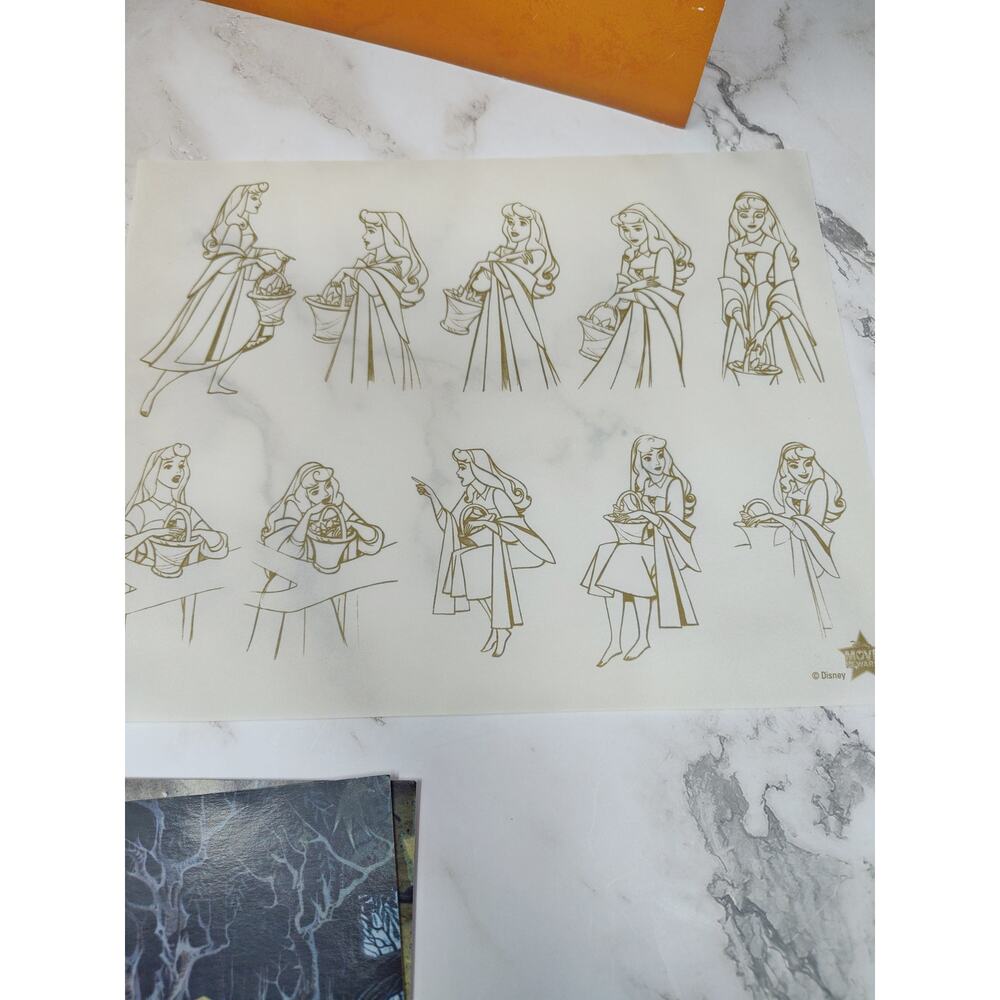 Disney Movie Awards Sleeping Beauty Movie Cells & Lithographs 🌹 Well Worn - Picture 4 of 5